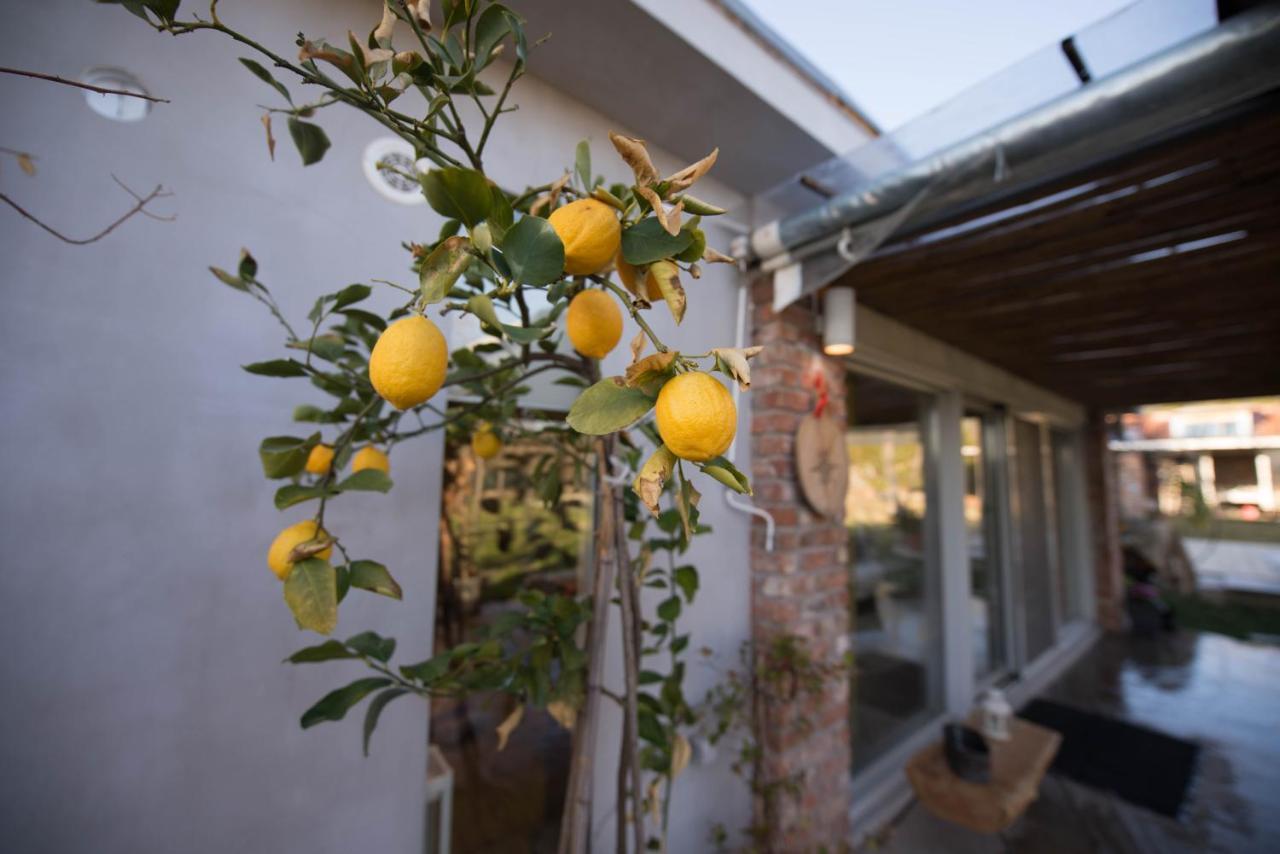 Sinanis Garden House Apartman Vólosz Kültér fotó